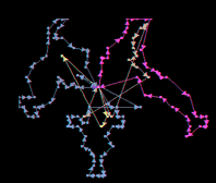 optimized routes2