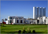 Danone Plant